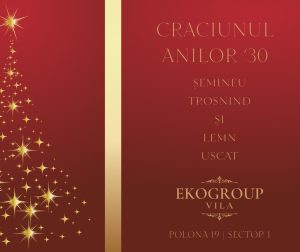 Eko Group Vila: O Împlinire a Eleganței Crăciunului Anilor ’30